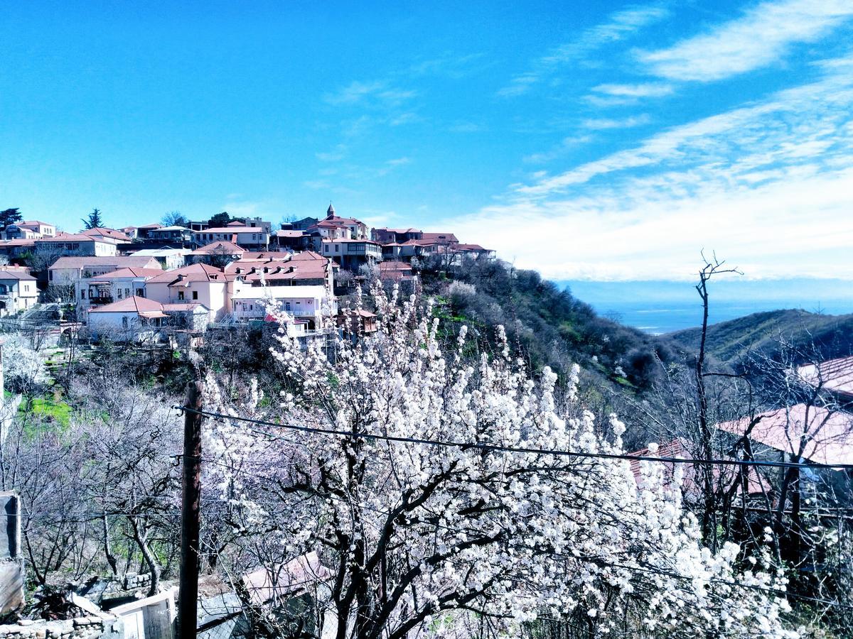 Three Gracia Hotel Sighnaghi Luaran gambar